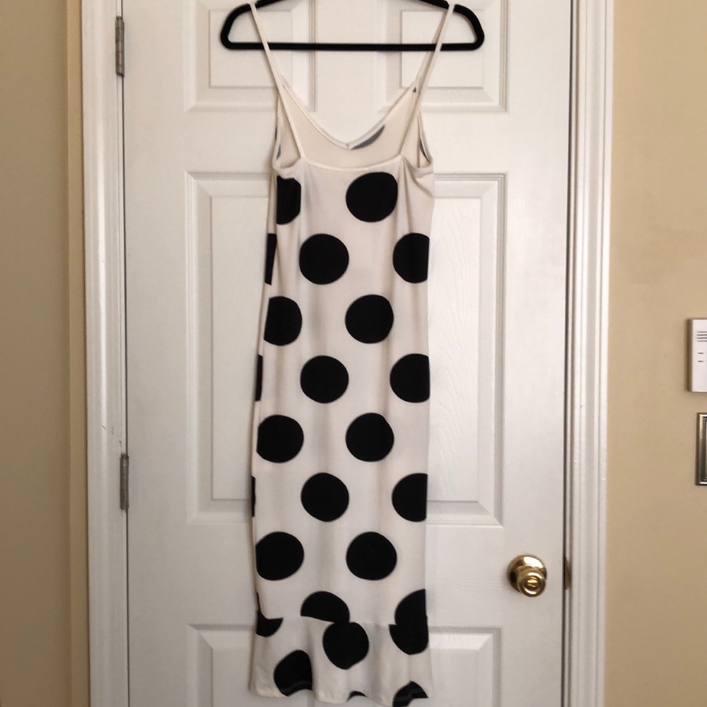 Dottie - Picture 3 of 3